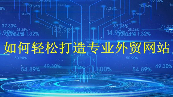 廣州外貿(mào)獨立站建站-2024年如何輕松打造專業(yè)外貿(mào)網(wǎng)站