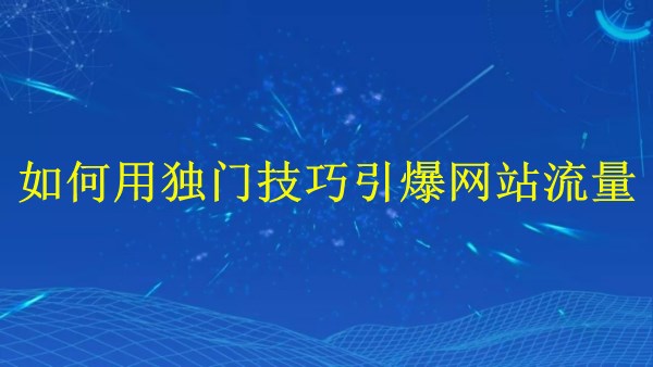廣州SEO專家揭秘：2024年如何用獨(dú)門技巧引爆網(wǎng)站流量？