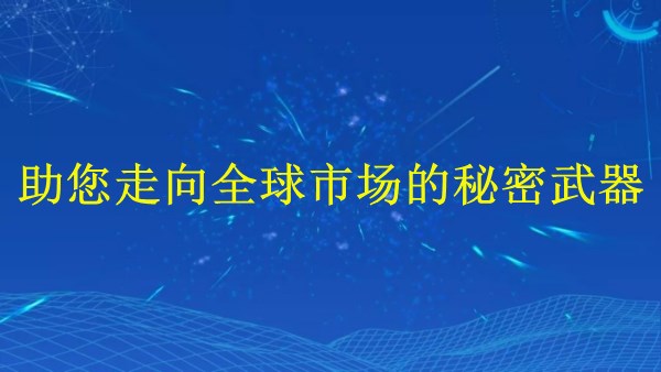 廣州外貿(mào)獨(dú)立站建站：助您2024年走向全球市場的秘密武器