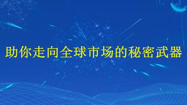 廣州外貿(mào)獨(dú)立站建站：助你2024年走向全球市場的秘密武器