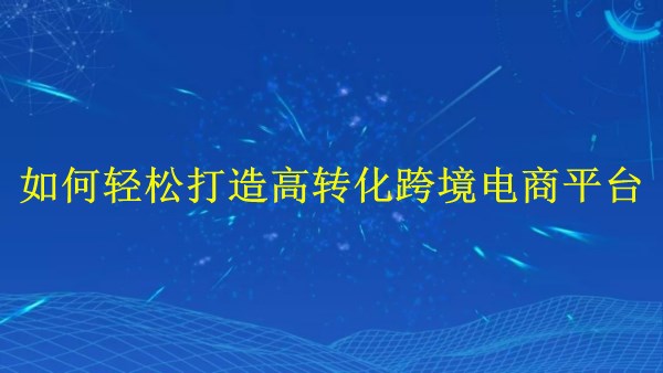 廣州外貿(mào)獨(dú)立站建站:2024年如何輕松打造高轉(zhuǎn)化跨境電商平臺?